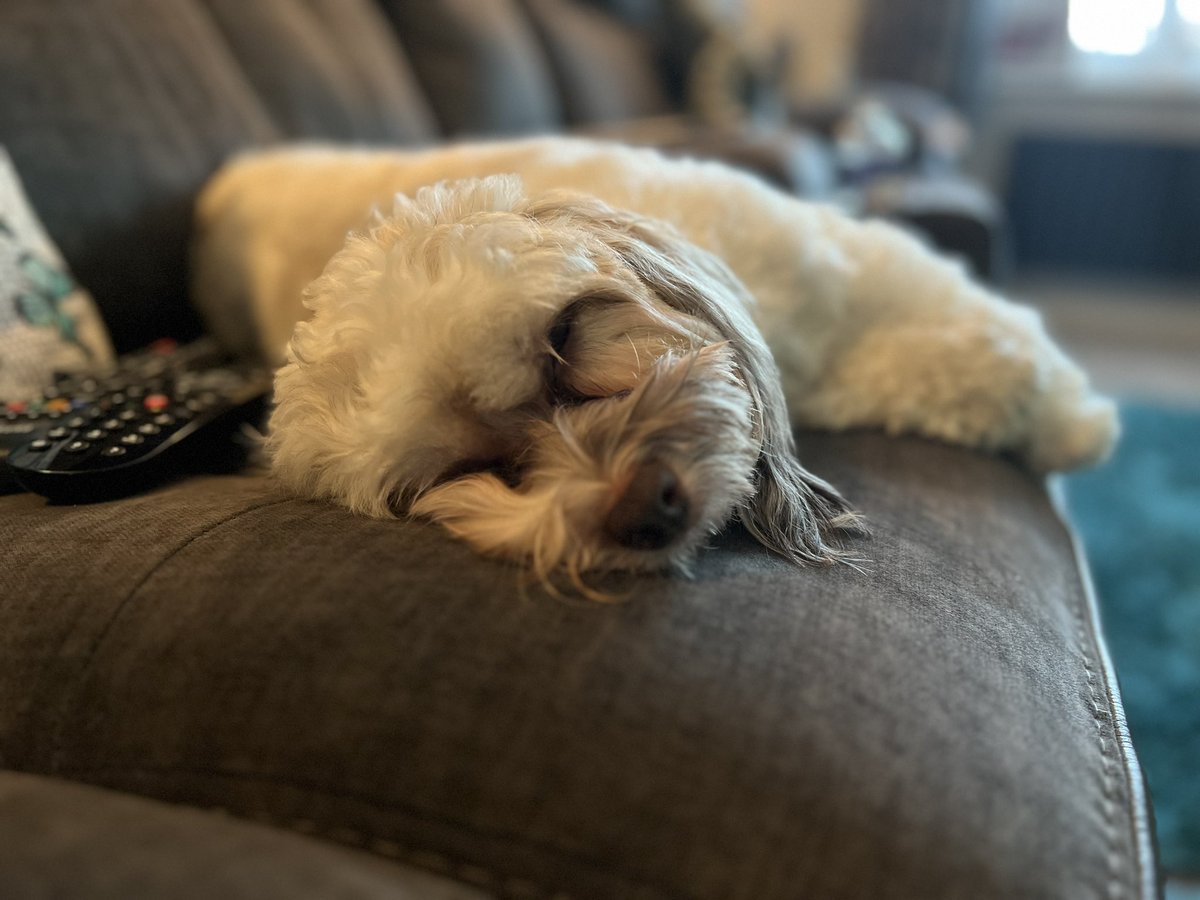 JoelSaffer tweet media