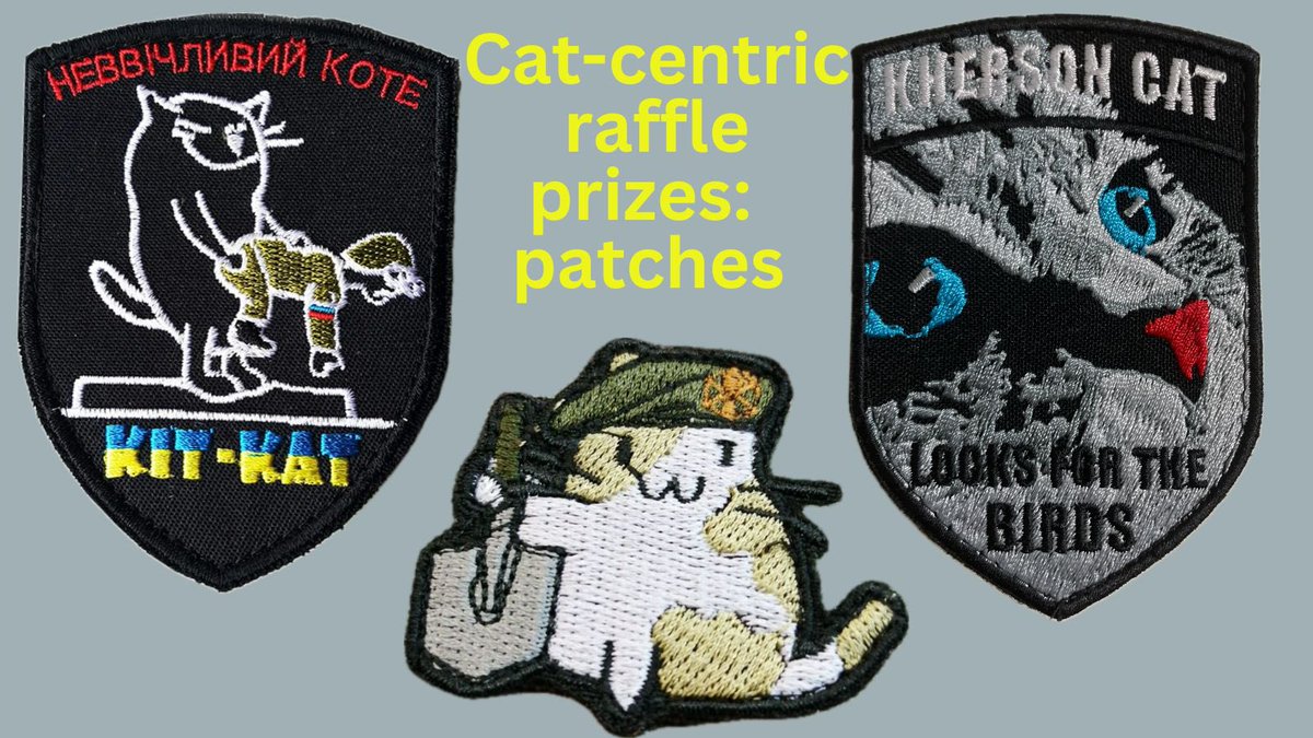 Atacms_4_Ukr's tweet photo. 📣matching tickets (US$20) for #catcentric raffle for @Kartul_girl
Mavic 3Pro Drone drive
🇺🇦📣$810 remaining to raise! To enter donate
$3=1🎟️
$10=4🎟️
$20=10🎟️
to https://t.co/2EjFDREcuN https://t.co/Hzc95R85SK