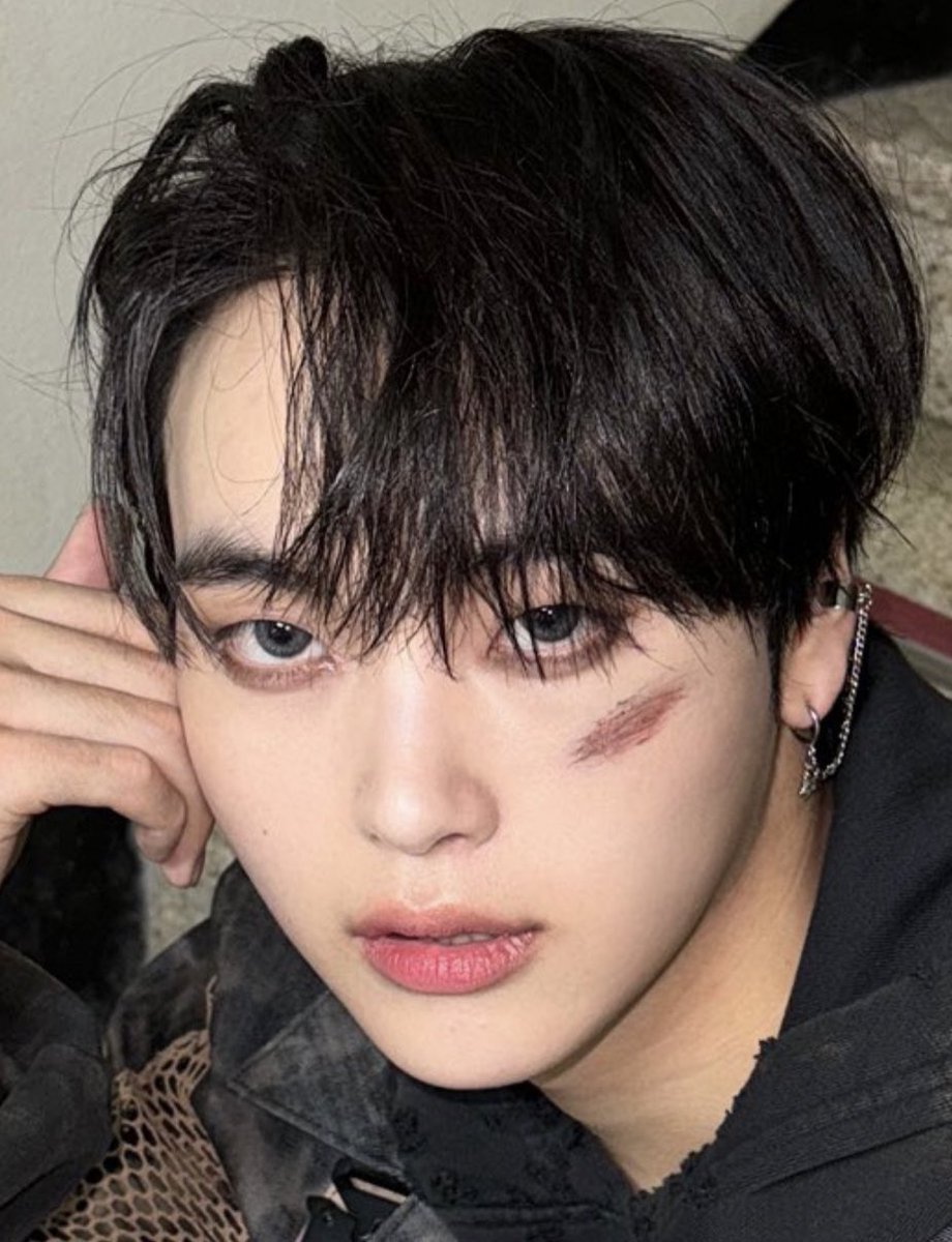 송냥이                               송랑이