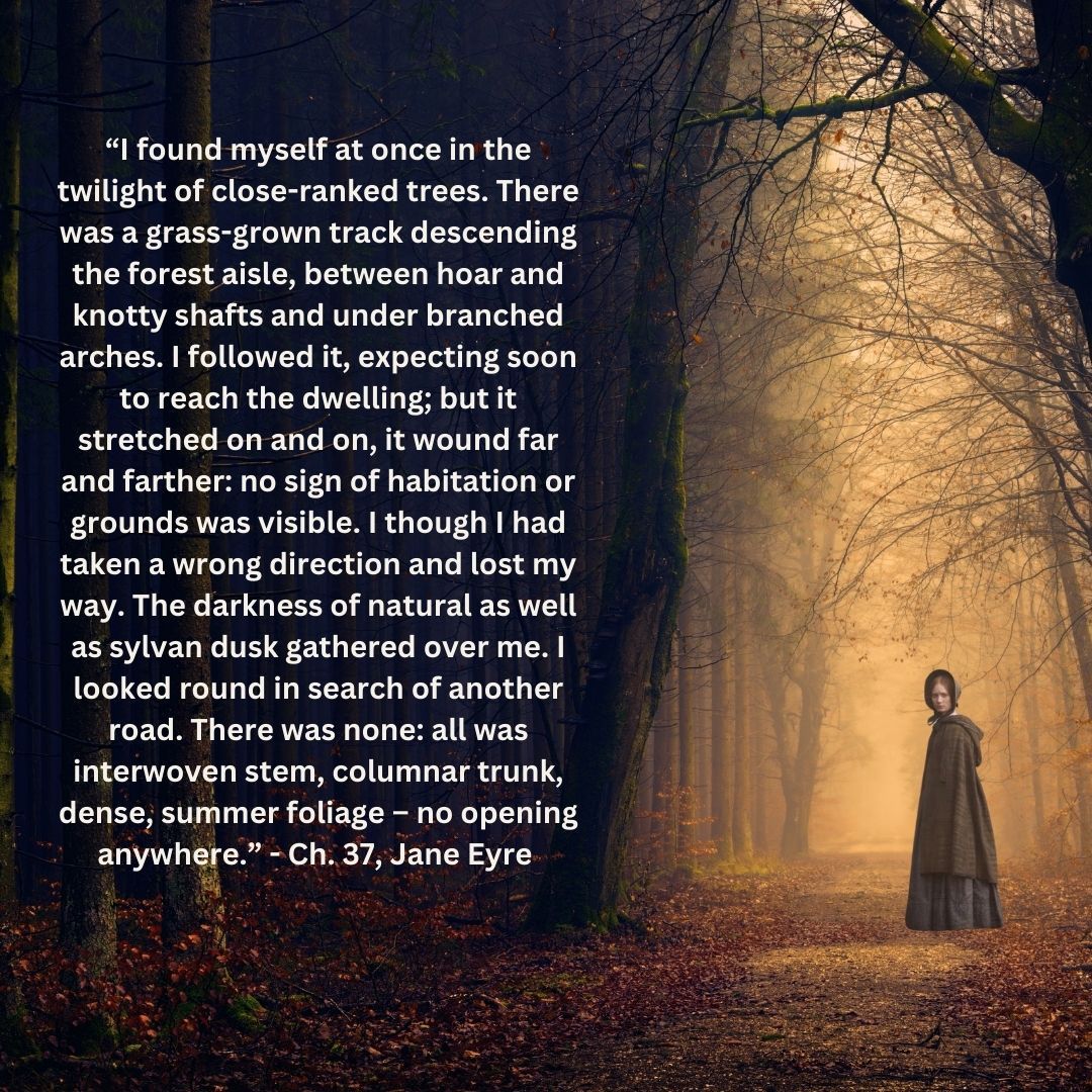 “I found myself at once in the twilight of close-ranked trees. There was a grass-grown track descending the forest aisle, between hoar and knotty shafts and under branched arches. - Ch. 37, #JaneEyre

#charlottebronte #edwardrochester #naturetheme #classicliterature #nature