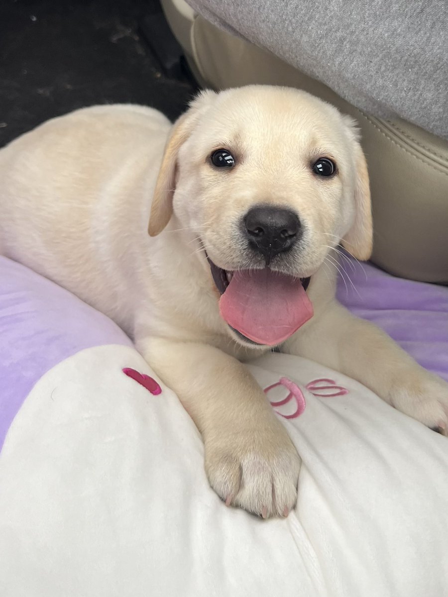 Welcome to the family Maddux! Names for one of the greats! ⚾️⚾️<a href="/gregmaddux/">Greg Maddux</a> <a href="/mqualman/">Matt Qualman</a> <a href="/Braves/">Atlanta Braves</a>