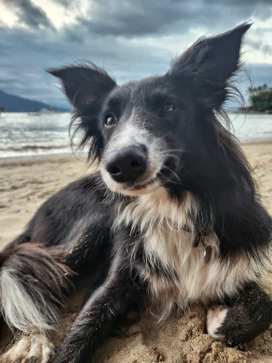 O psiquiatra falando que tenho borderline e eu concordando porque realmente tenho um… 🫣