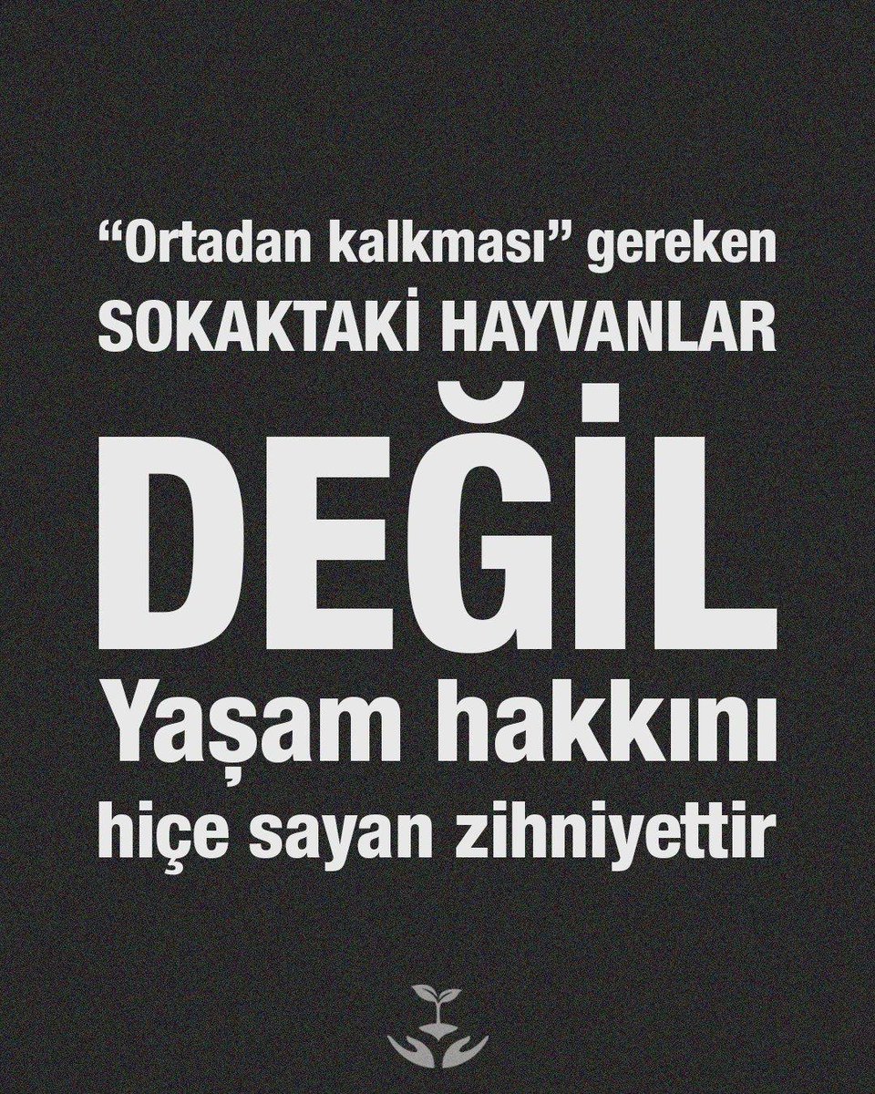 #SokakHayvanlarıSahipsizDeğil
