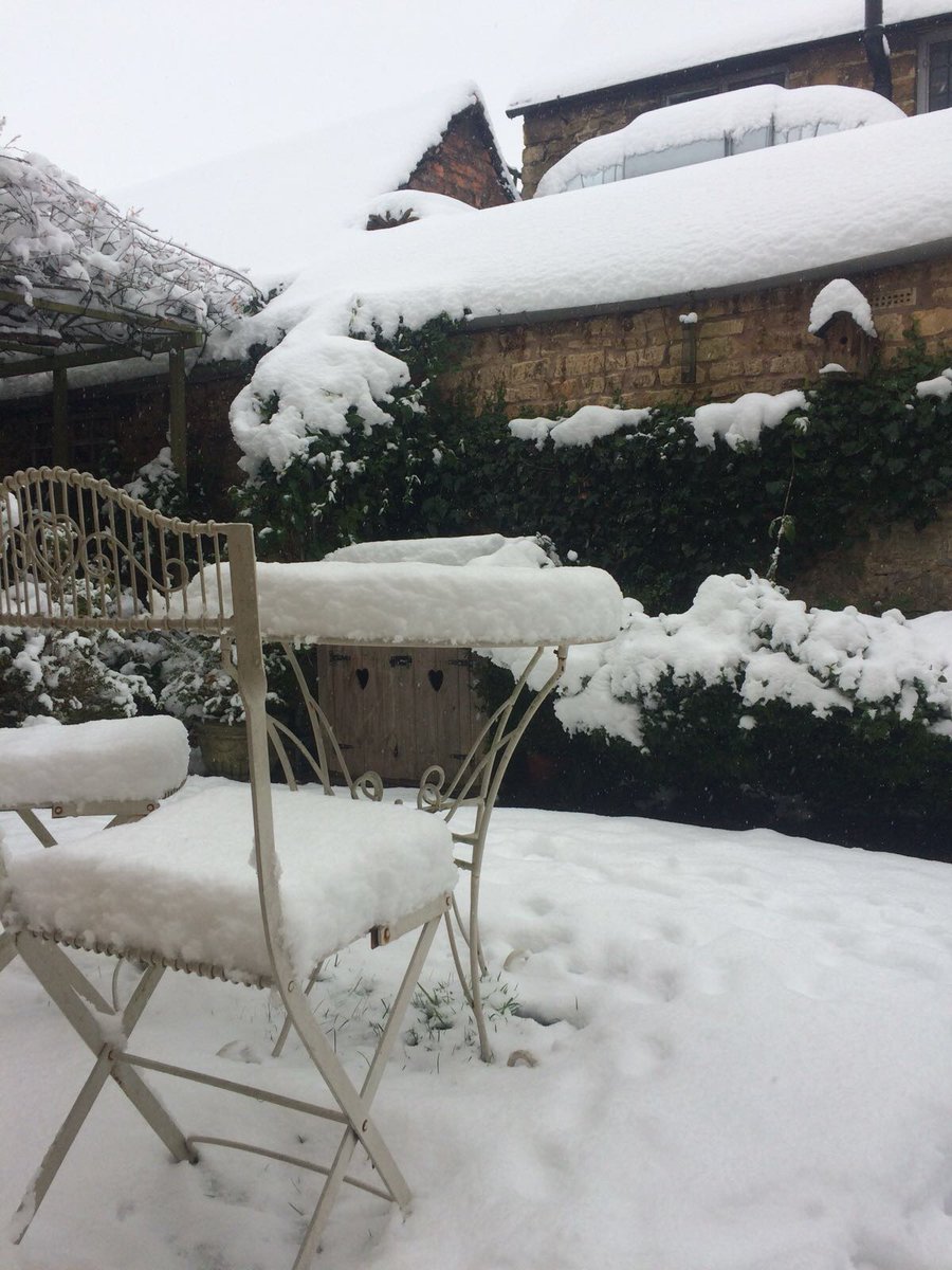 Honeypot Cottages tweet media
