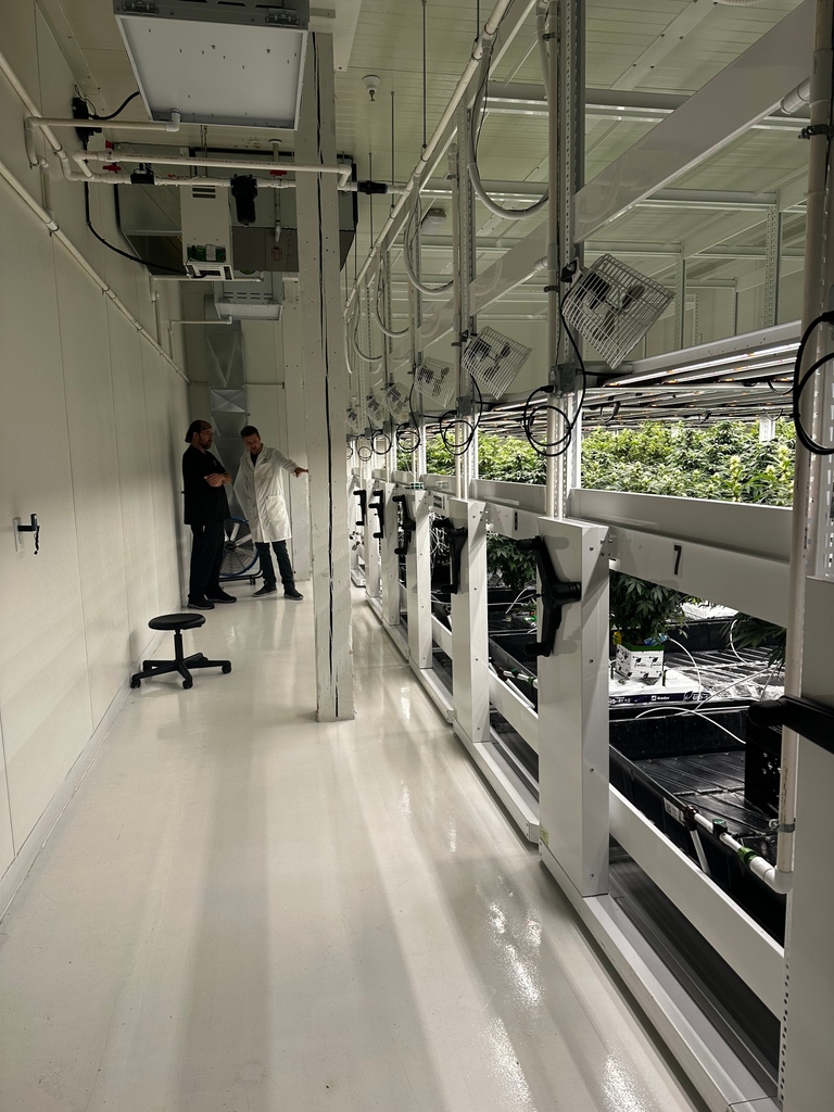 Escape the weather without boarding a plane! Experience a tropical climate while you warm up in our grow rooms on your very own full facility tour. #microdifference #craftcultivation #resistcorporateweed #onlydowntowndispo #muskegonmicro #thisismuskegon #visitmuskegon
