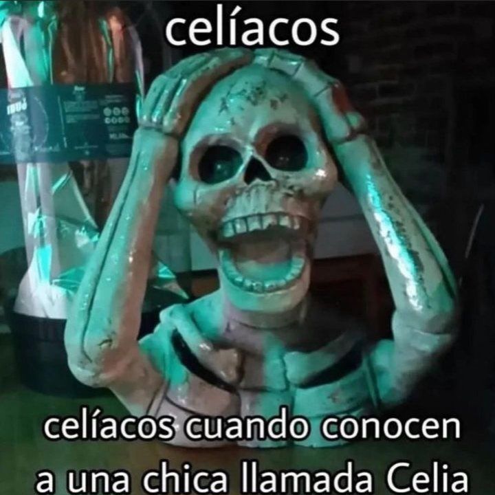 wikipistacho's tweet photo. https://t.co/LS9NQp7Lo4