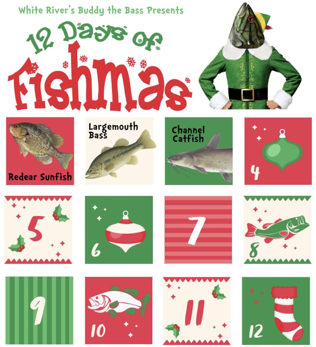It’s the 3rd day of the 12 Days of Fishmas &amp; Buddy the Bass gave to us … the Channel Catfish! The most common catfish can grow up to 50 lbs, although most often they are around 5 lbs &amp; two feet in length. As bottom-dwellers, they prefer deeper water, especially during the day.
