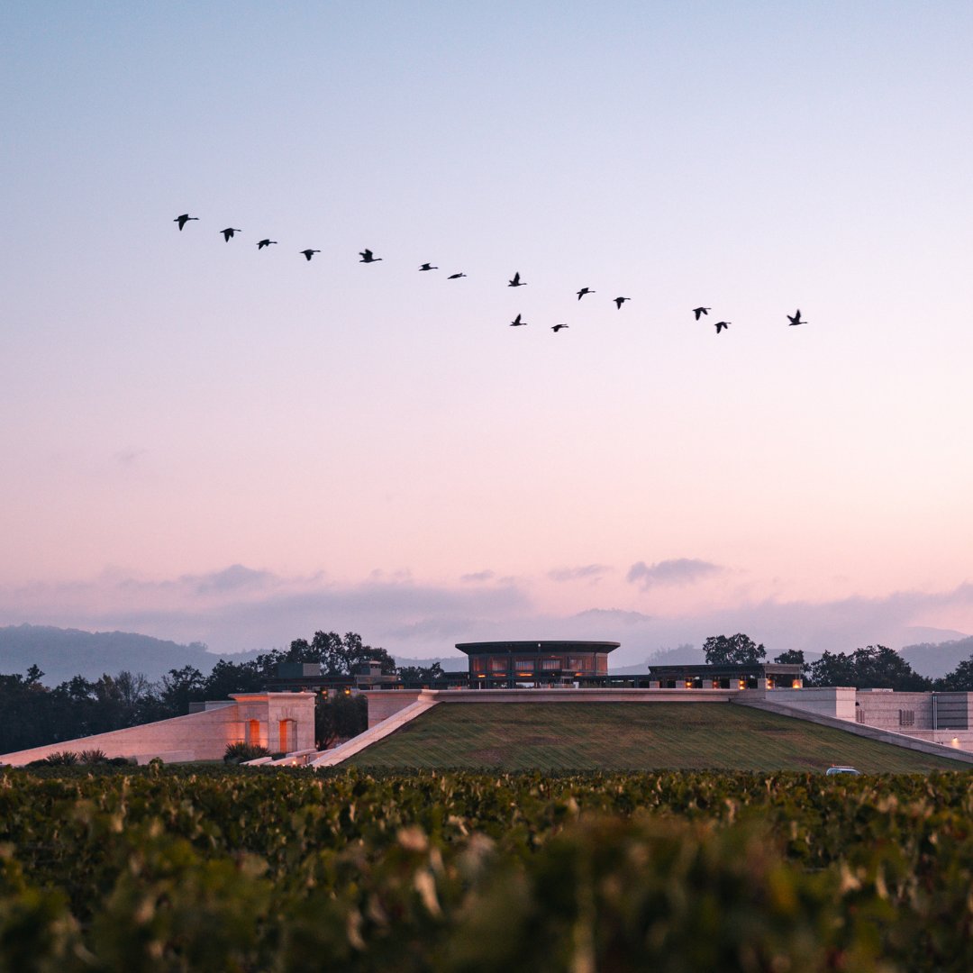 Now dash away. Dash away. Dash away, all.