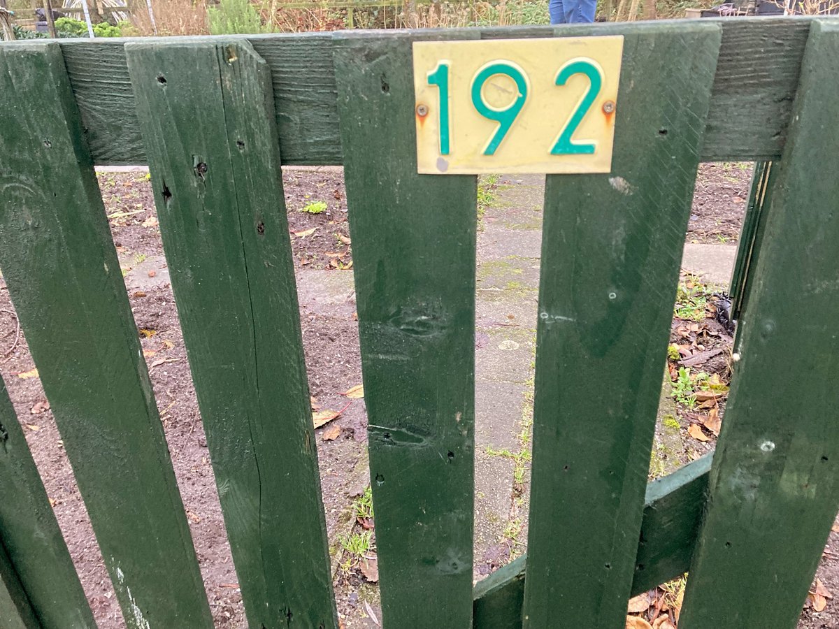 ediblethings's tweet image. After 48 years on this earth and growing in small spaces, I’ve finally taken over the leasehold on my very own allotment. It’s BYO greenhouse, but they did throw in a generous shed!