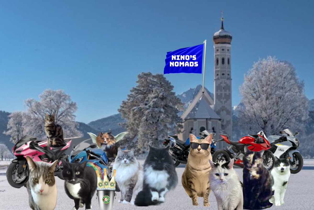 #The Ruffriderz
Quick stopover , refuel , nip break , visit the litter trays and off again 😹😹
#Niños Nomads