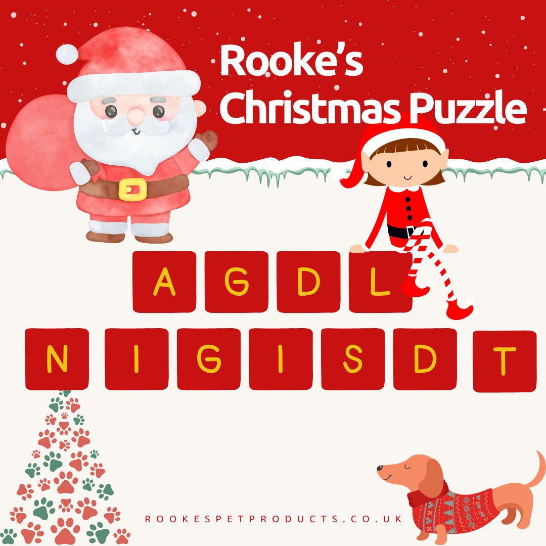 🧩 Where are our Puzzlers?

#christmaspuzzle #christmasgame #christmasfun #christmasgames #christmasmood #christmasvibes #christmascountdown