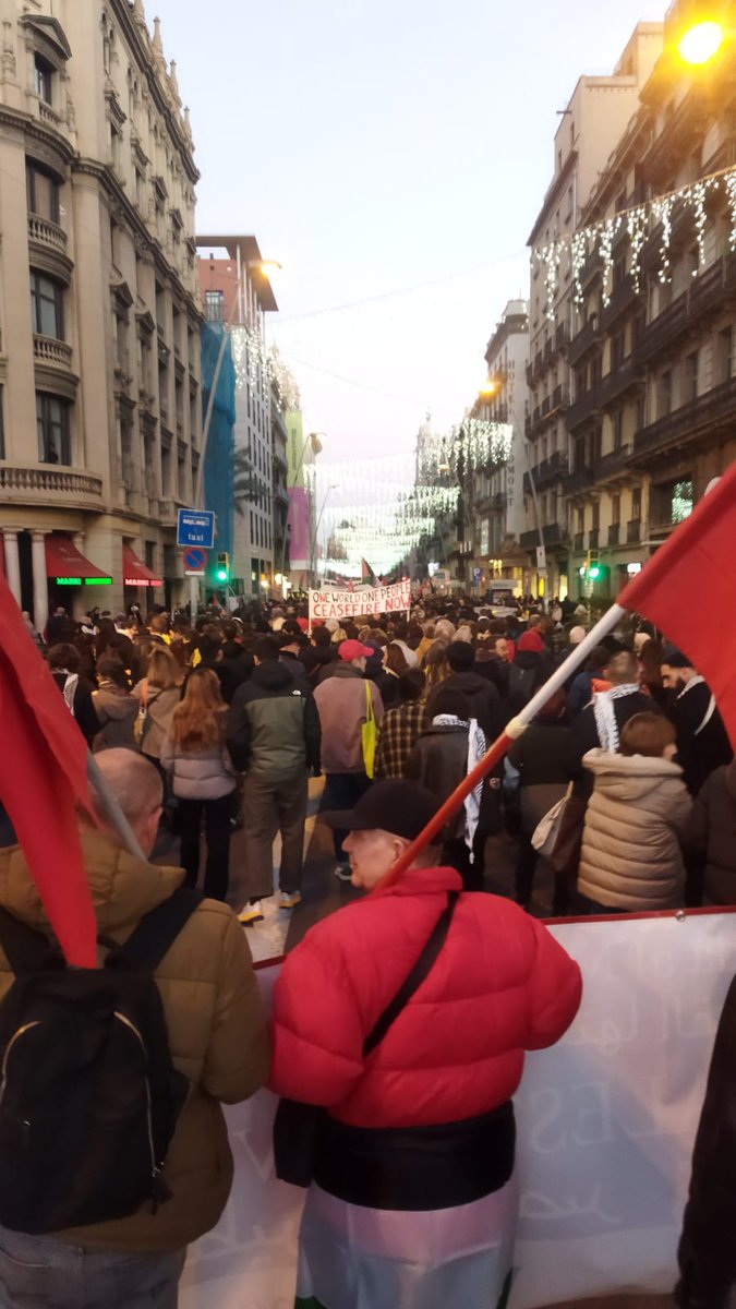 Solidaritat amb Palestina