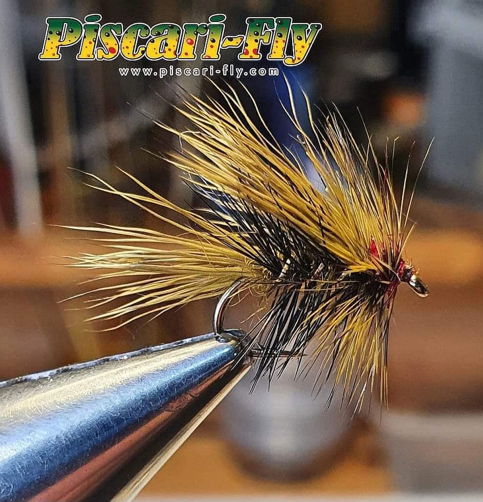 Definitely was one of the best lough flys from last season, was catching fish everywhere...make.sure you a have a few in the box for 2024 
piscari-fly.com for all your fly fishing needs #flyfishing #flies #flytying #loughstyle #fishinglife #fishinginireland