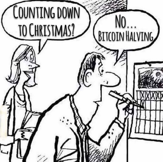 Bold Bitcoin tweet media