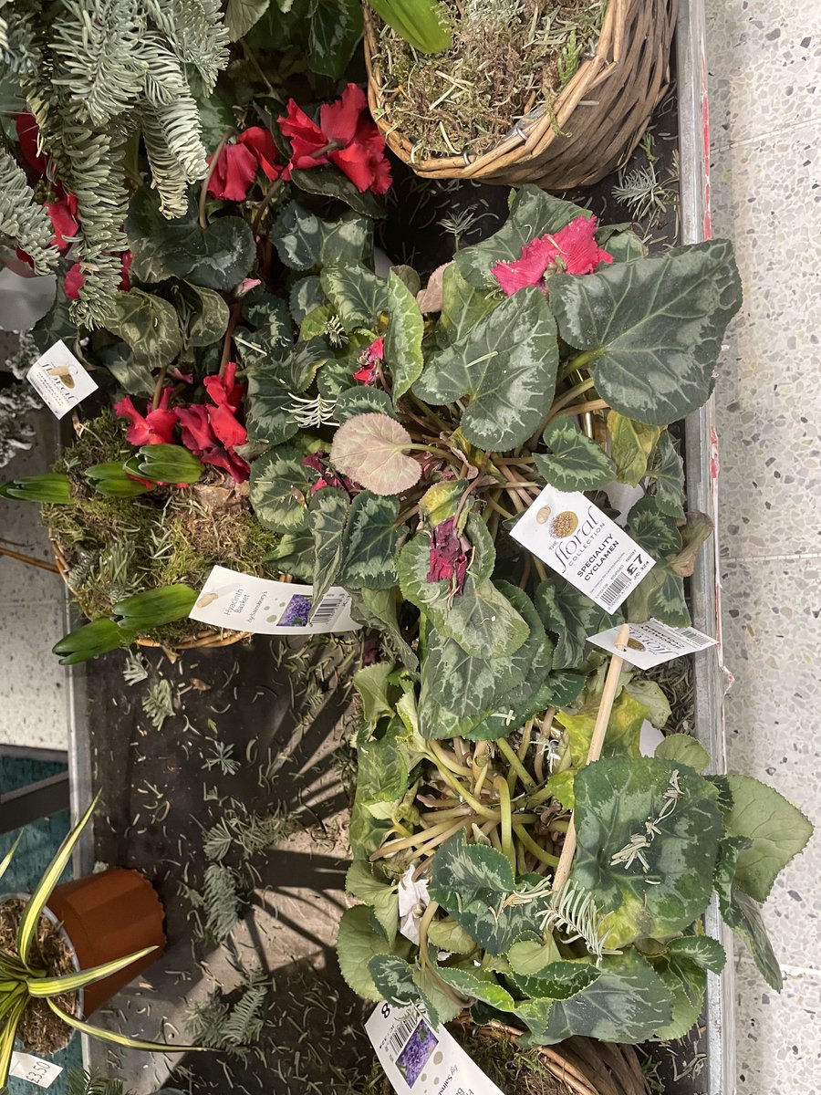 Simon Welburn-Supporting 🇺🇦 Ukraine. tweet media