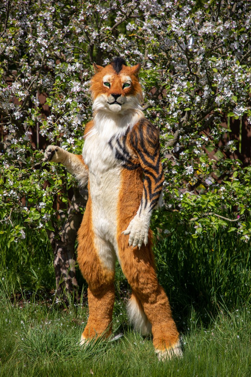 Arahn (@arahn_doberman) on Twitter photo Hey!
I am auctioning off a fursuit again.
This time a fullsuit made by <a href="/clckwrkcreature/">Clockwork Creature</a>
He was never worn (besides for taking photos)
fits 1,80m ~80kg, NFT Stretch fur
Auction is live until 15.02.24 - 20:00 CET
Info: tiny.cc/72tivz
Bid sheet: forms.gle/jyDN35FQen6dC7… Hey!
I am auctioning off a fursuit again.
This time a fullsuit made by <a href="/clckwrkcreature/">Clockwork Creature</a>
He was never worn (besides for taking photos)
fits 1,80m ~80kg, NFT Stretch fur
Auction is live until 15.02.24 - 20:00 CET
Info: tiny.cc/72tivz
Bid sheet: forms.gle/jyDN35FQen6dC7…