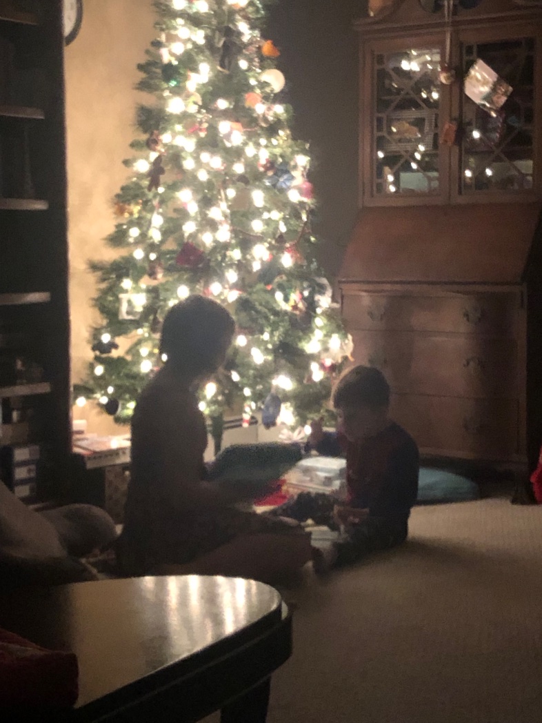 GnomeAndFairy's tweet photo. @annahamiltonart Complete with Chaos Agents and All. The. Books. (My family does #12BooksOfChristmas an advent calendar…NO other gifts are wrapped yet!) https://t.co/8U9tZGzrYl