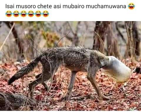 😂😂fact