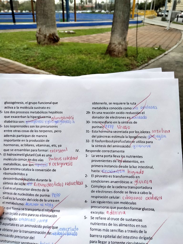 mariarchivs's tweet image. friday log ☝🏻
   last test and it&apos;s finally vacation

#studytwt #studytwtbr #studyph