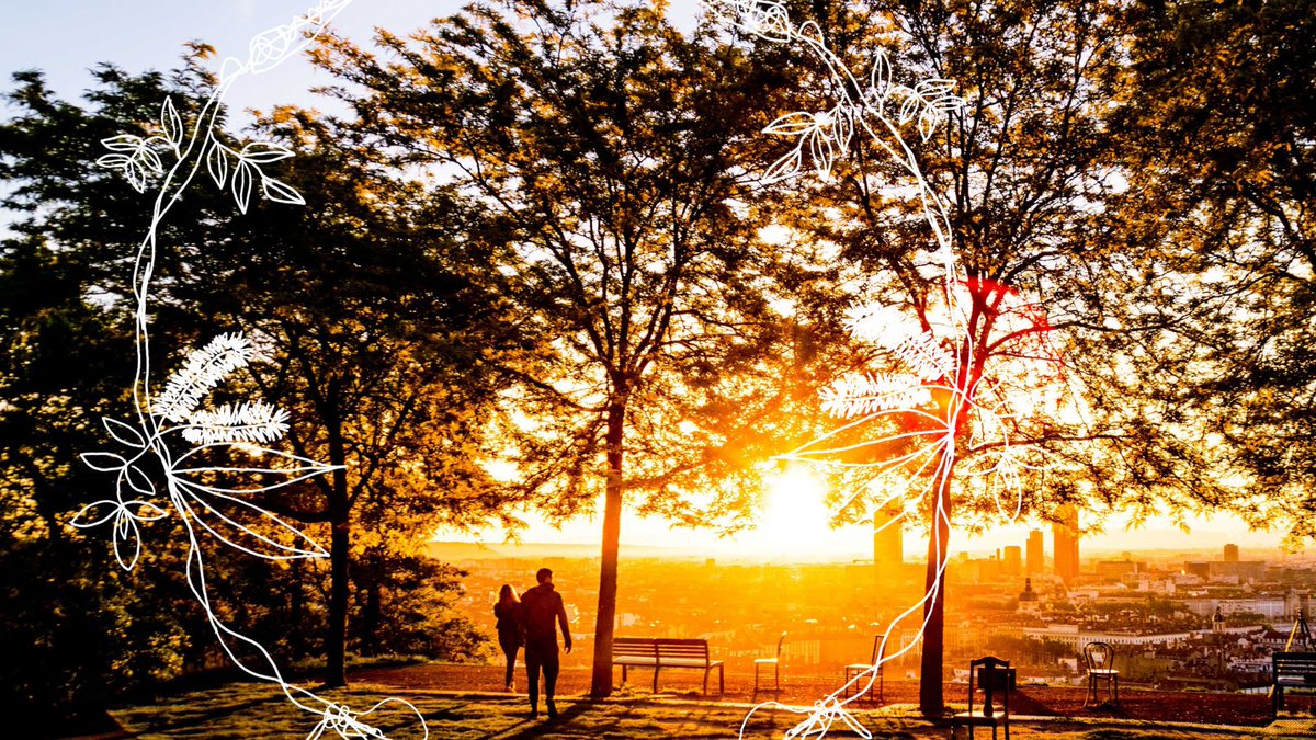 For our seventeenth #Advent2023 devotional, Dr Isabel O'Keeffe leads us in prayer as we welcome the coming of Jesus into our common home.
👇
commongrace.org.au/advent_common_…