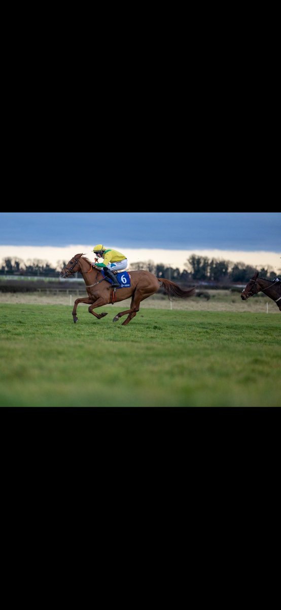 Great to see Miss Mini Bee winning the @IrishEBF_ mares bumper @Fairyhouse under @alexharvey2003 . Delighted for her owner Leo McCormack