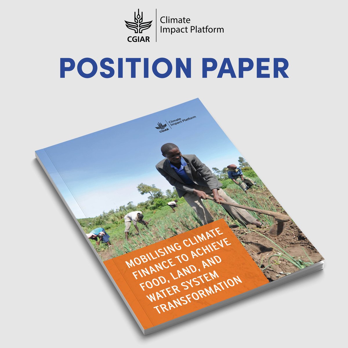 Florine Lim tweet media