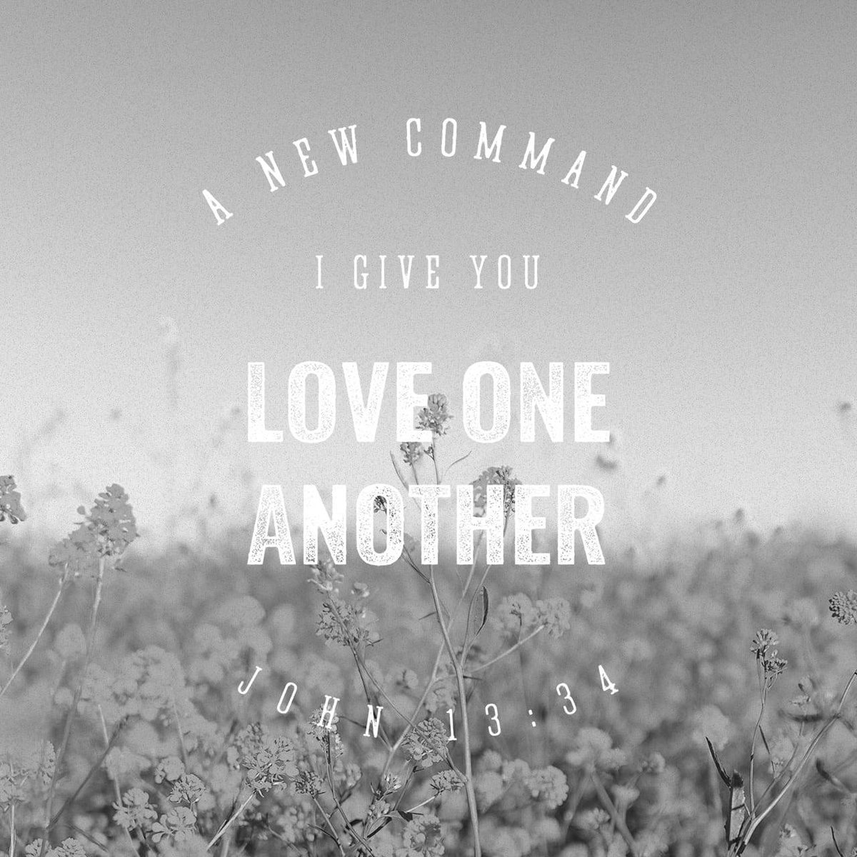 bible.com/verse-of-the-d…