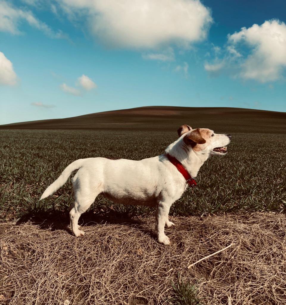 Mabel 2008 - 2023 💔