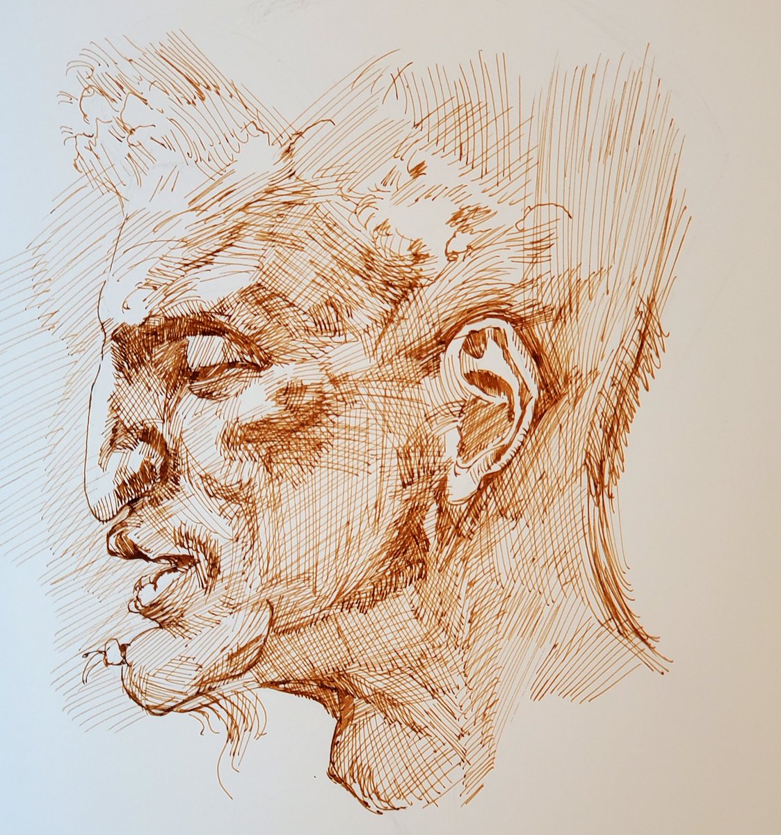 Michelangelo Study (2nd pic, Head of Satyr) + study in same style using ref (1st pic)

used a fountain pen