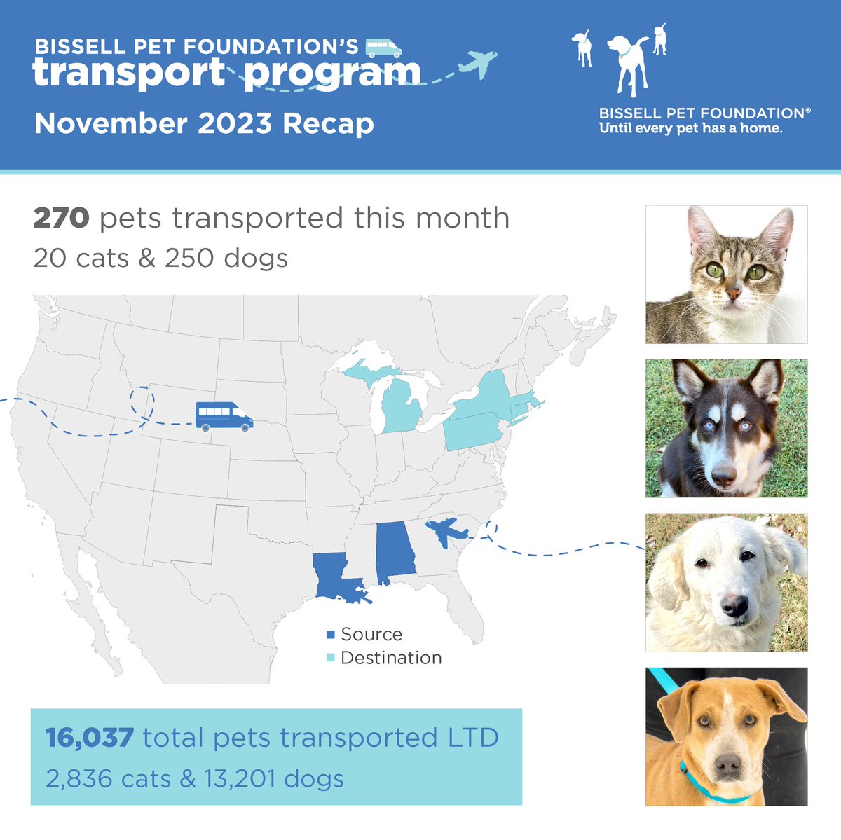 In November, BISSELL Pet Foundation transported 270 pets to their second chances! None of this would be possible without the continued support from our generous donors and PetSmart Charities. 💙 🐾