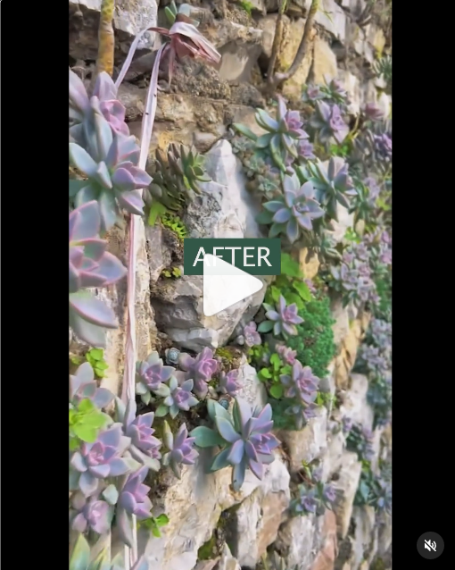 Podemitas Mosenses tweet media