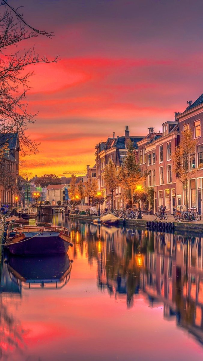 #SettingSun #Amsterdam #Netherlands ｜ #荷兰 #阿姆斯特丹 #夕阳 🇳🇱