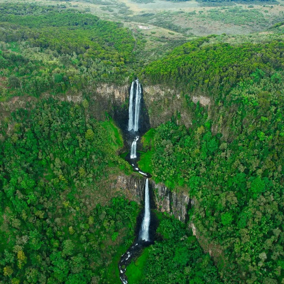 KWSAberdare's tweet photo. 🌿🦓 Discover the enchanting landscapes of Aberdare and witness nature's breathtaking artistry firsthand. 🌄 Don't miss out on this adventure of a lifetime! 🦁 #NatureLovers #AberdareAdventures #NaturePhotography https://t.co/CSVs32EDn3