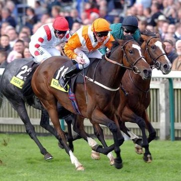 Spanish Don <a href="/liamkeniry/">liam keniry</a> 

2004 Cambridgeshire for David Elsworth