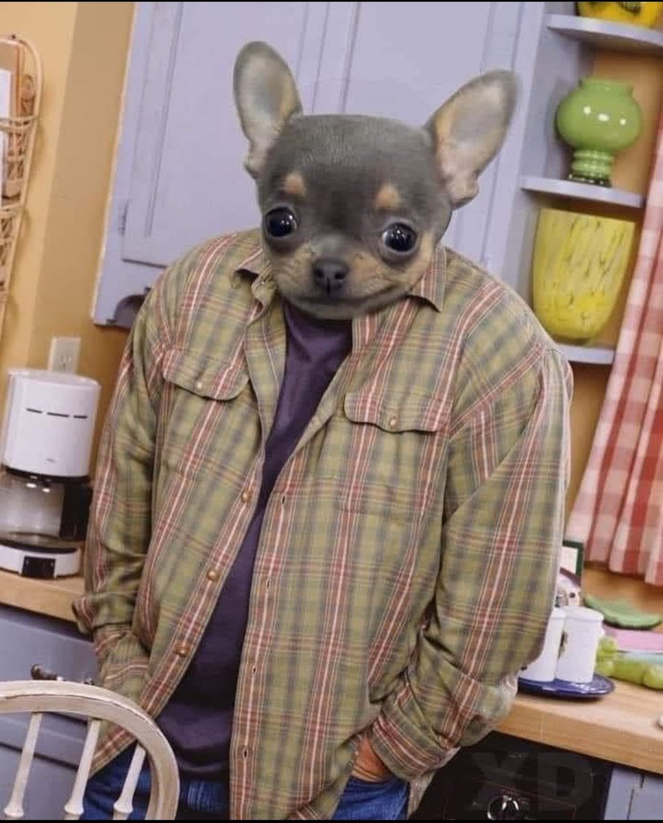 Yoite93's tweet image. Todos con tremendas fotos de paisajes por Colombia y yo sólo tengo fotos en hippies y Asilo de los últimos 3 años.