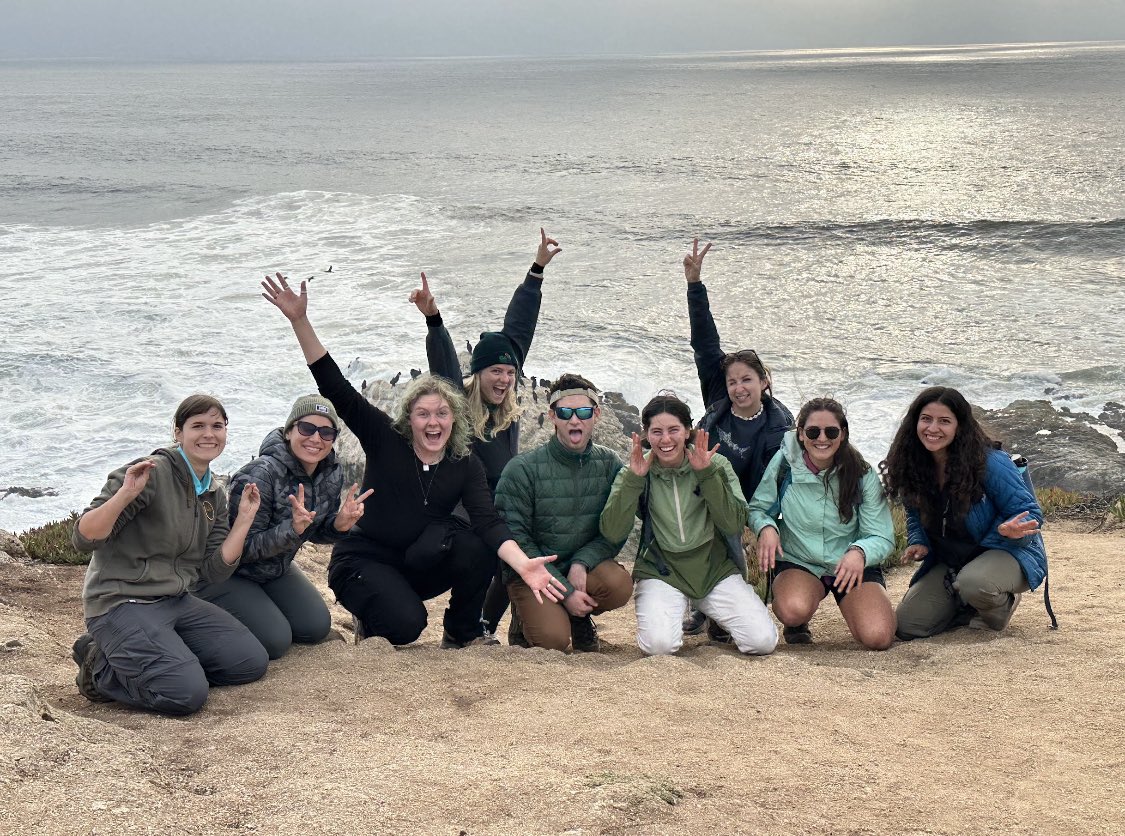 Lee Burrows tweet media