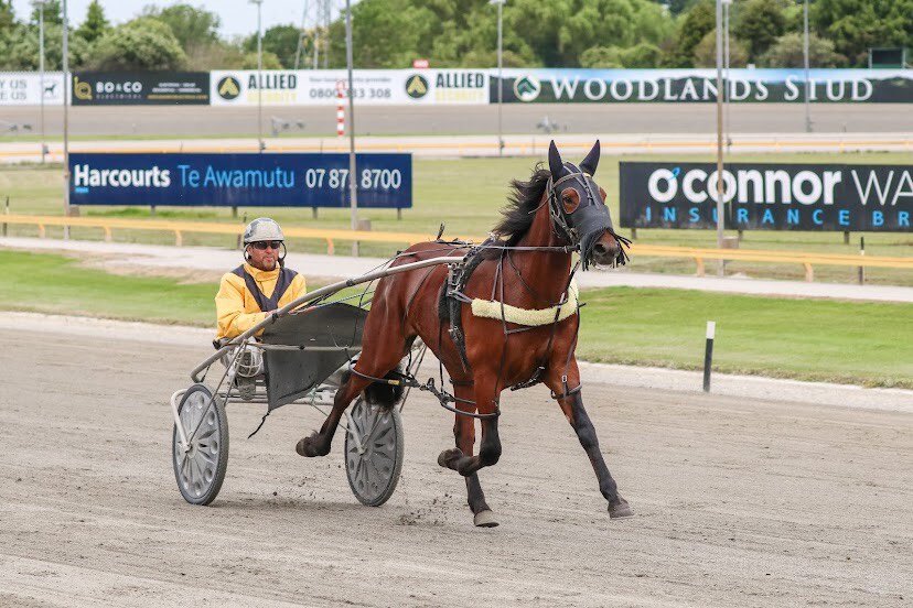 🤩 Cracking Bettor’s Delight pacer that the <a href="/OffnRacing/">Off N Racing Syndicates</a> Owners Group own a wee slice of. 

Coming up really well with Jo Stevens at Cambridge