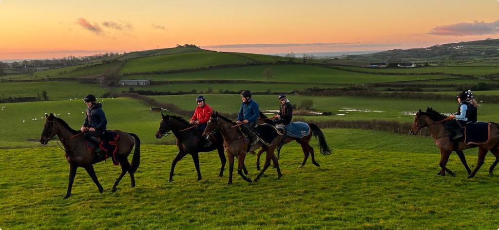 A picturesque morning at the top of Kearney Hill for the Ballynoe string today !#keepkicking
