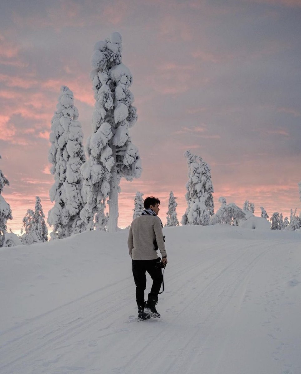 norrisjpg's tweet photo. winter lando is so boyfriend https://t.co/lsNc444Skh
