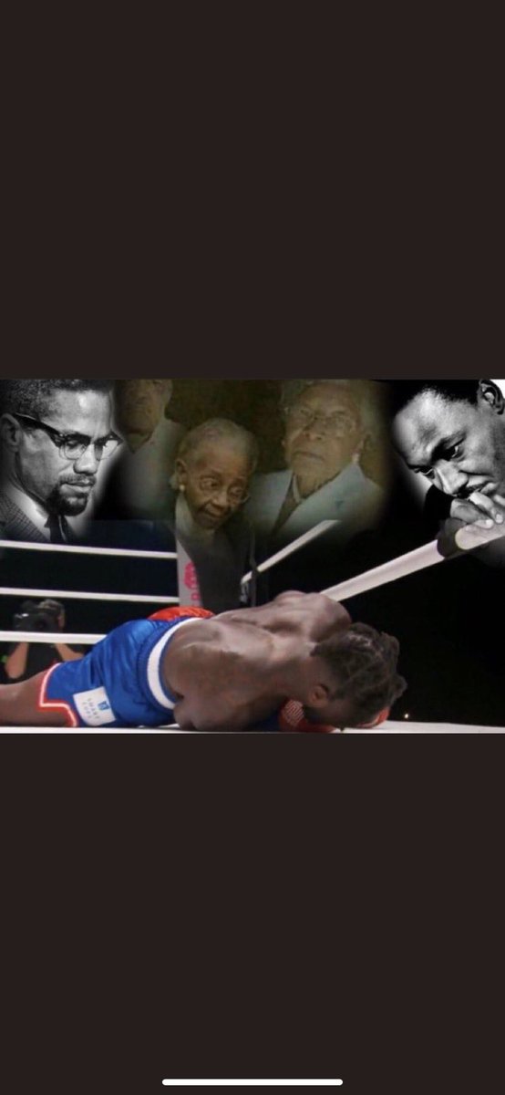 alpasdechico's tweet photo. @simbaTzoo https://t.co/atLJlXhf7u