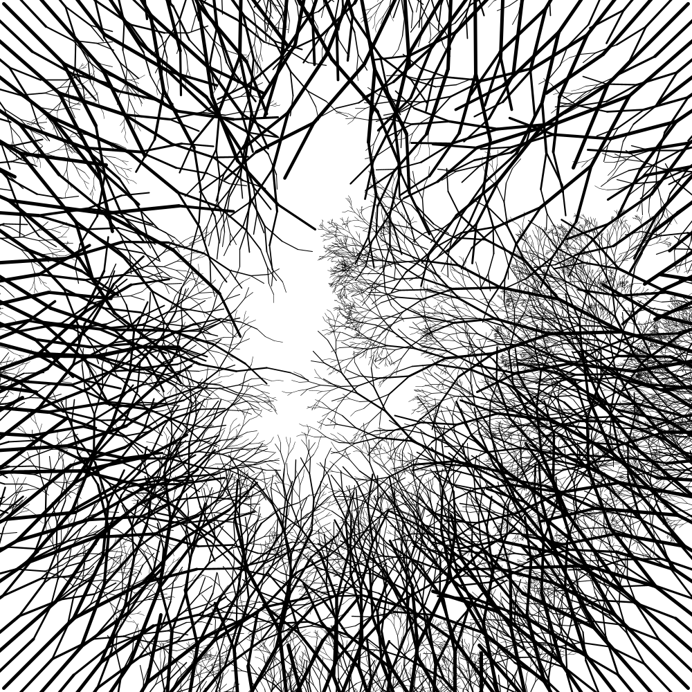 Jean_no's tweet image. J'essaie un truc...
#processingOrg