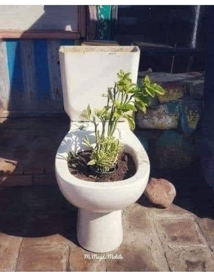 لما تزرع الأمل ف علاقة معفنة.