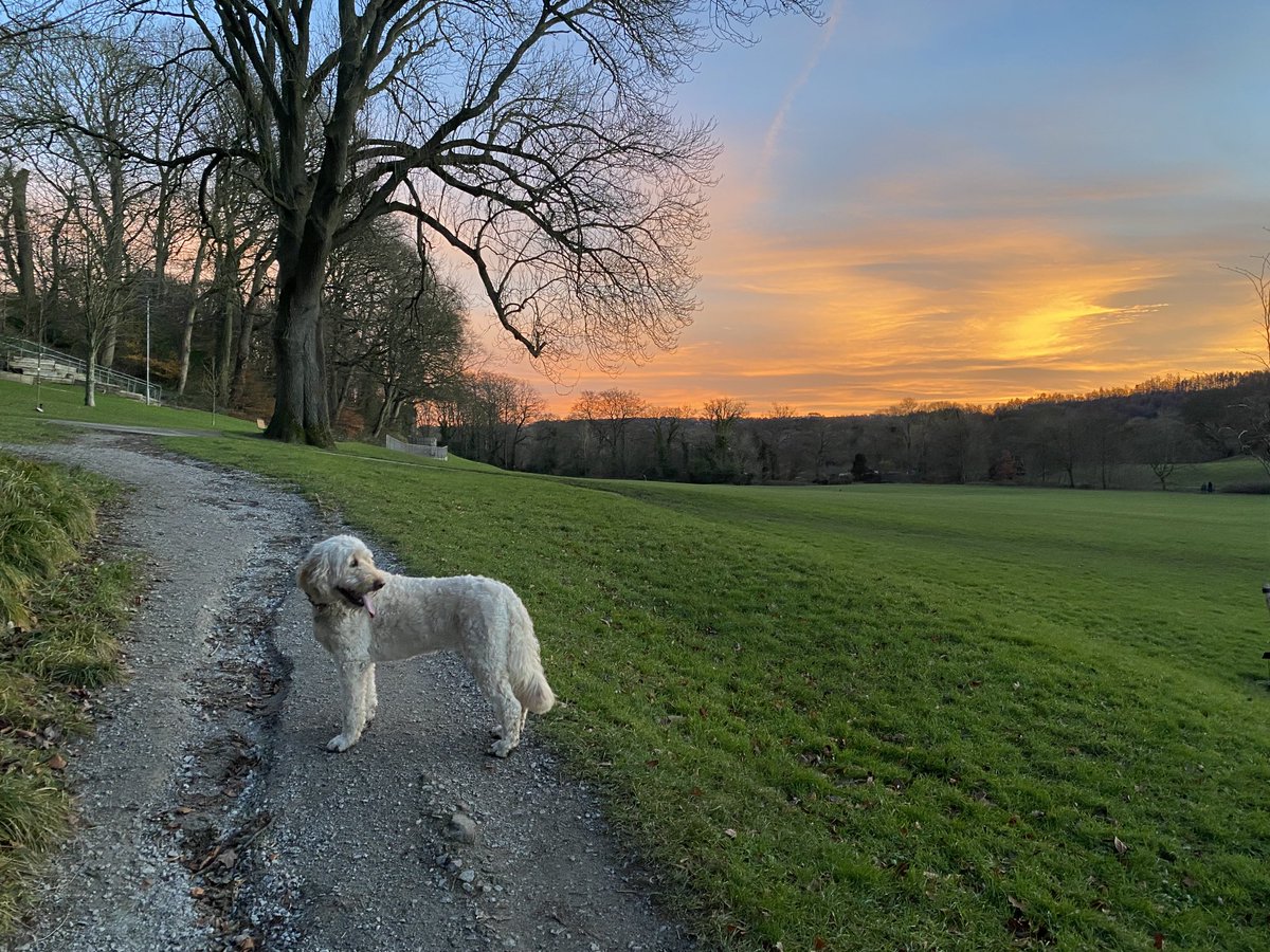 What a beautiful day 😍