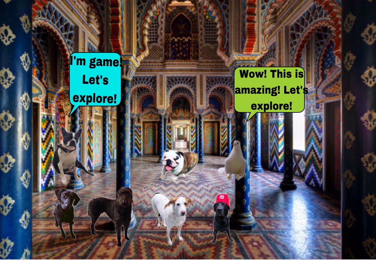 #tj5ruffriderz #theruffriderz While some of the gang were having a refreshing swim, others were exploring ! This Castle is huge! Stay tuned!