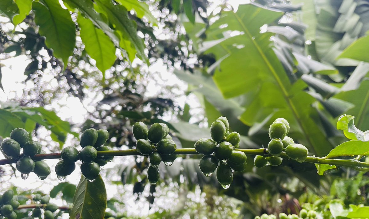 DeicyC✍️ tweet media