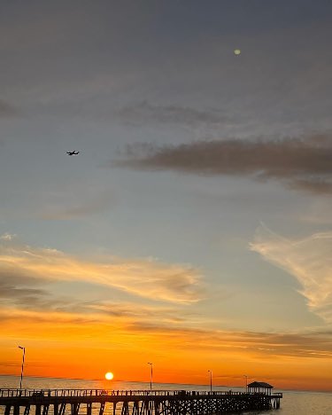 Sunsets make me happy 🧡🎄

#sunset #australia #explore #exploreaustralia #exploreadelaide #sunsetphotography #sunsetlovers #christmastime #christmascarols #christmascelebration #happy #gratitude