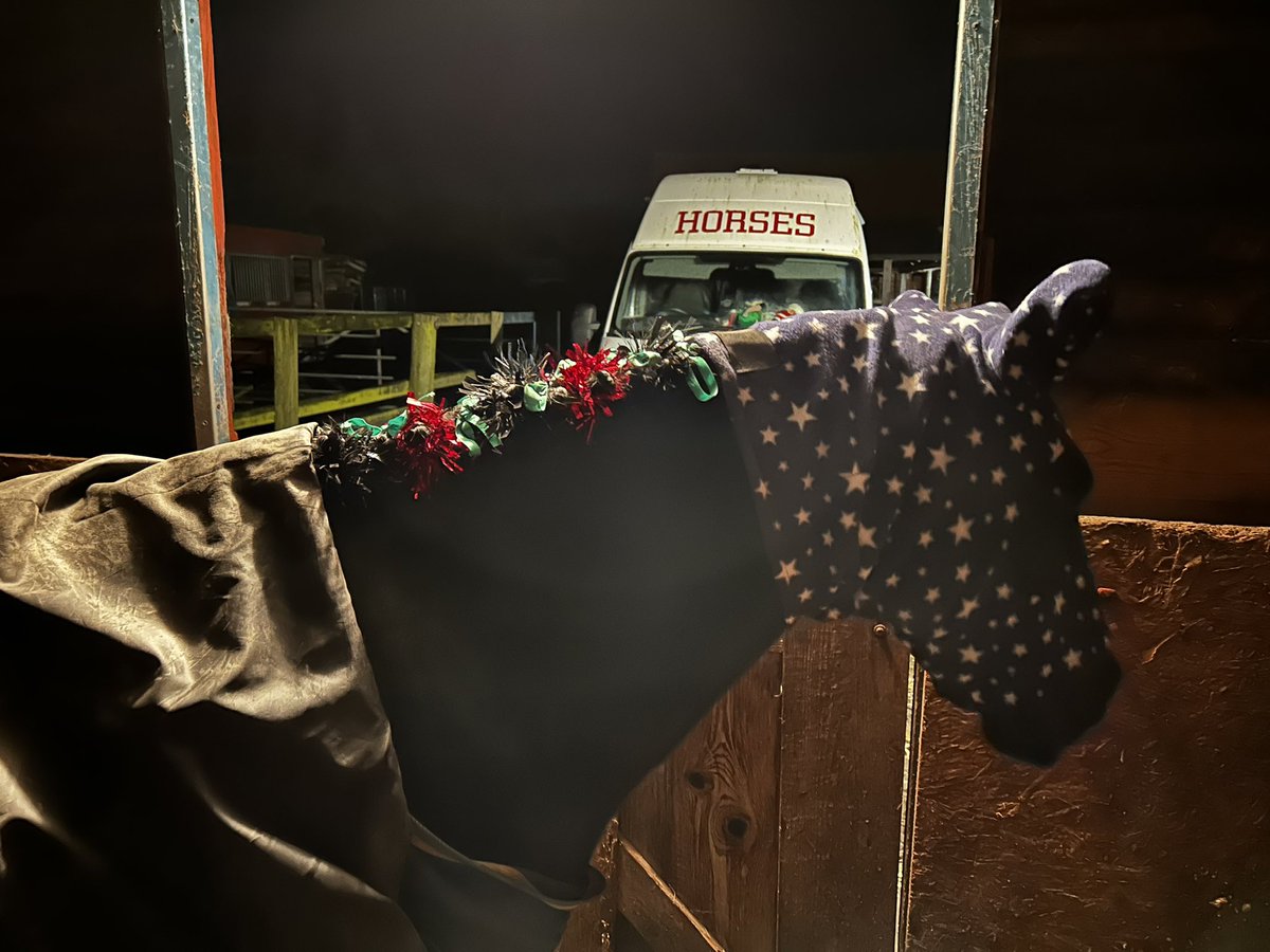 What have you done with your Saturday evening? … #showjumping #ChristmasFun