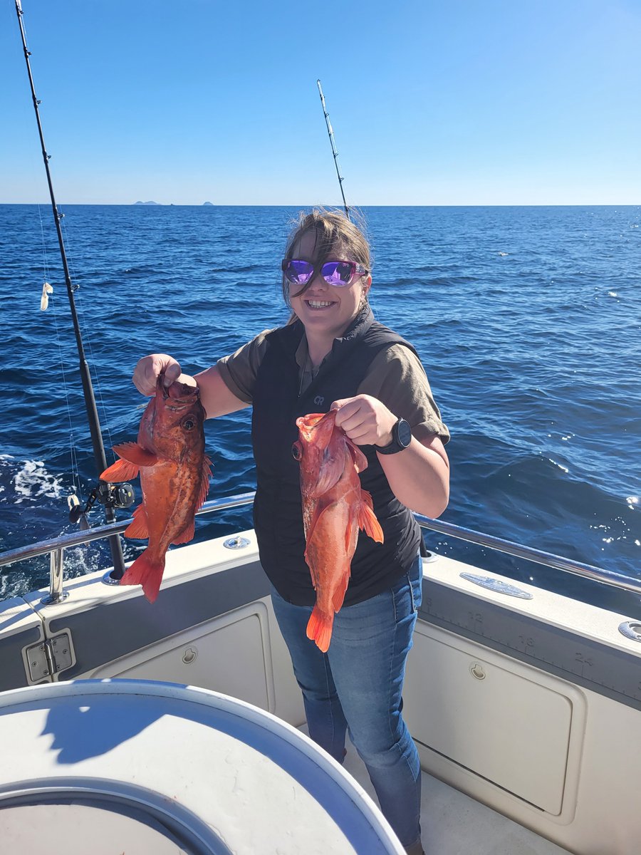 Good afternoon tonight we are going to eat fish

(Reeled in about 30lbs after processing...)