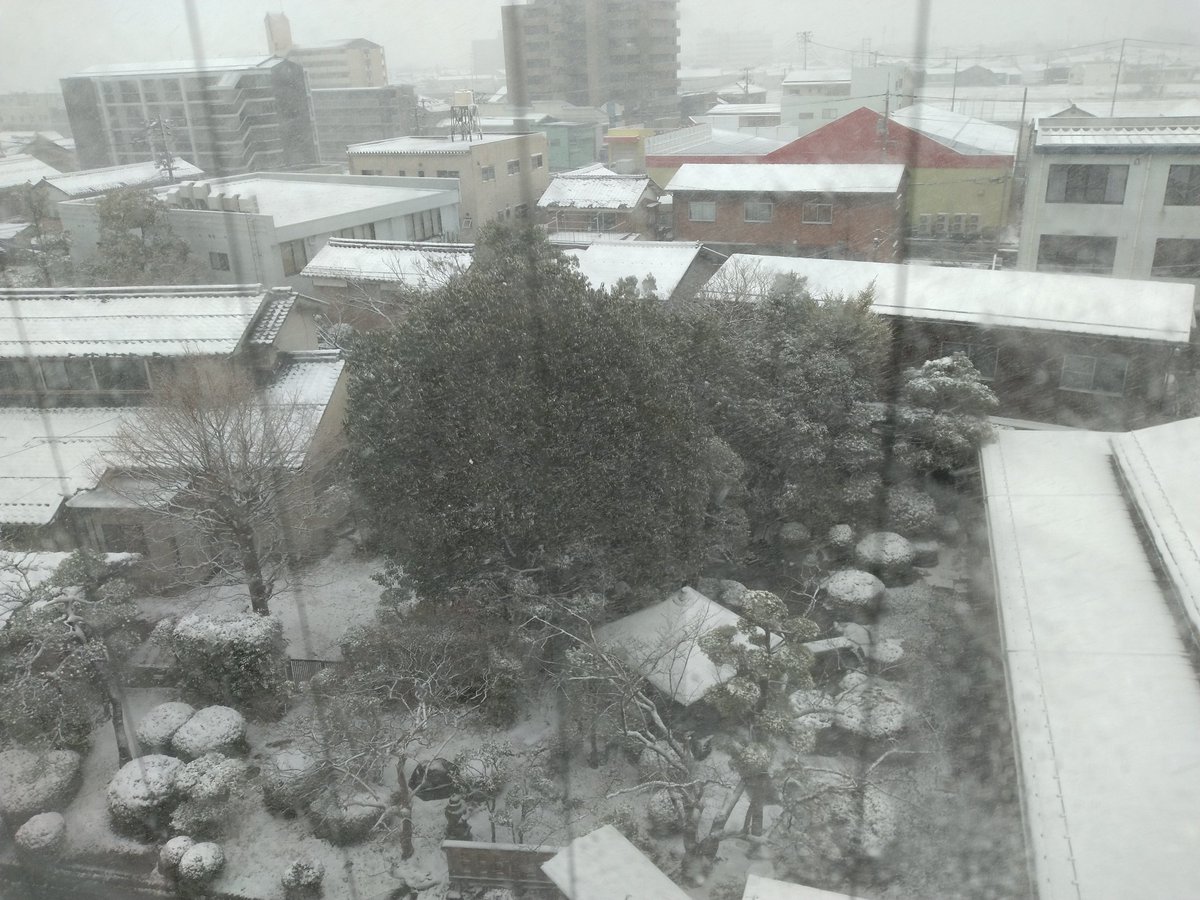 kuni_0092's tweet photo. 一晩で雪国… https://t.co/Lg1wBTLNhD