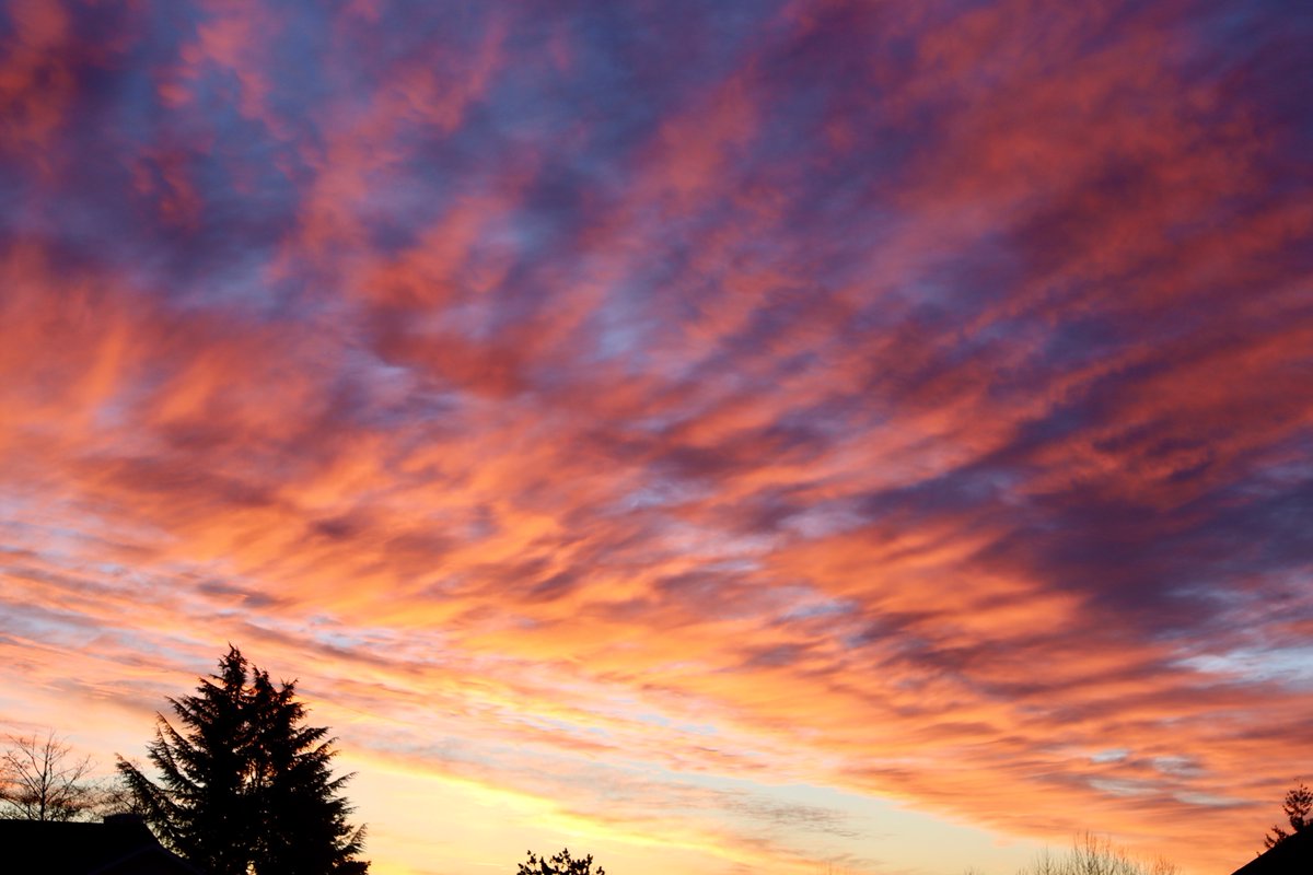 Incredible Saturday night sunset in Federal Way!! #wawx #sunsetphotography